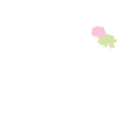 logo packom communication